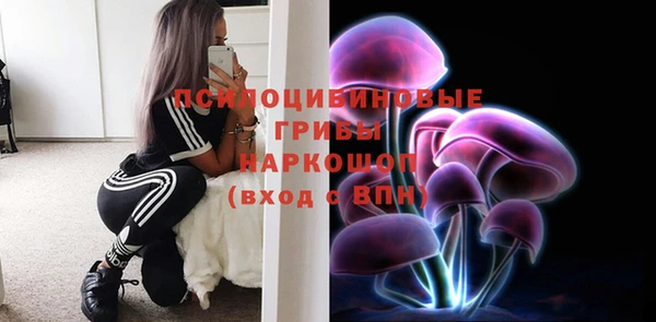 сатива Аркадак