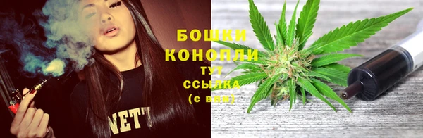 сатива Аркадак