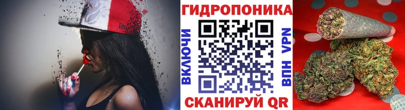 Марихуана гибрид  Купить  Муравленко 